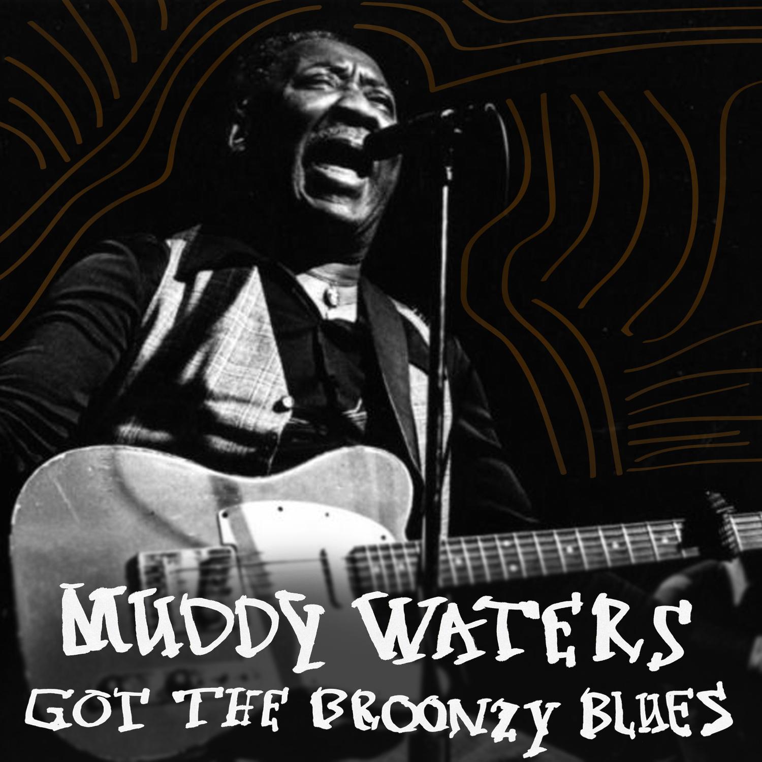Got the Broonzy Blues
