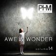 Awe And Wonder Vol. 14