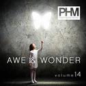 Awe And Wonder Vol. 14专辑