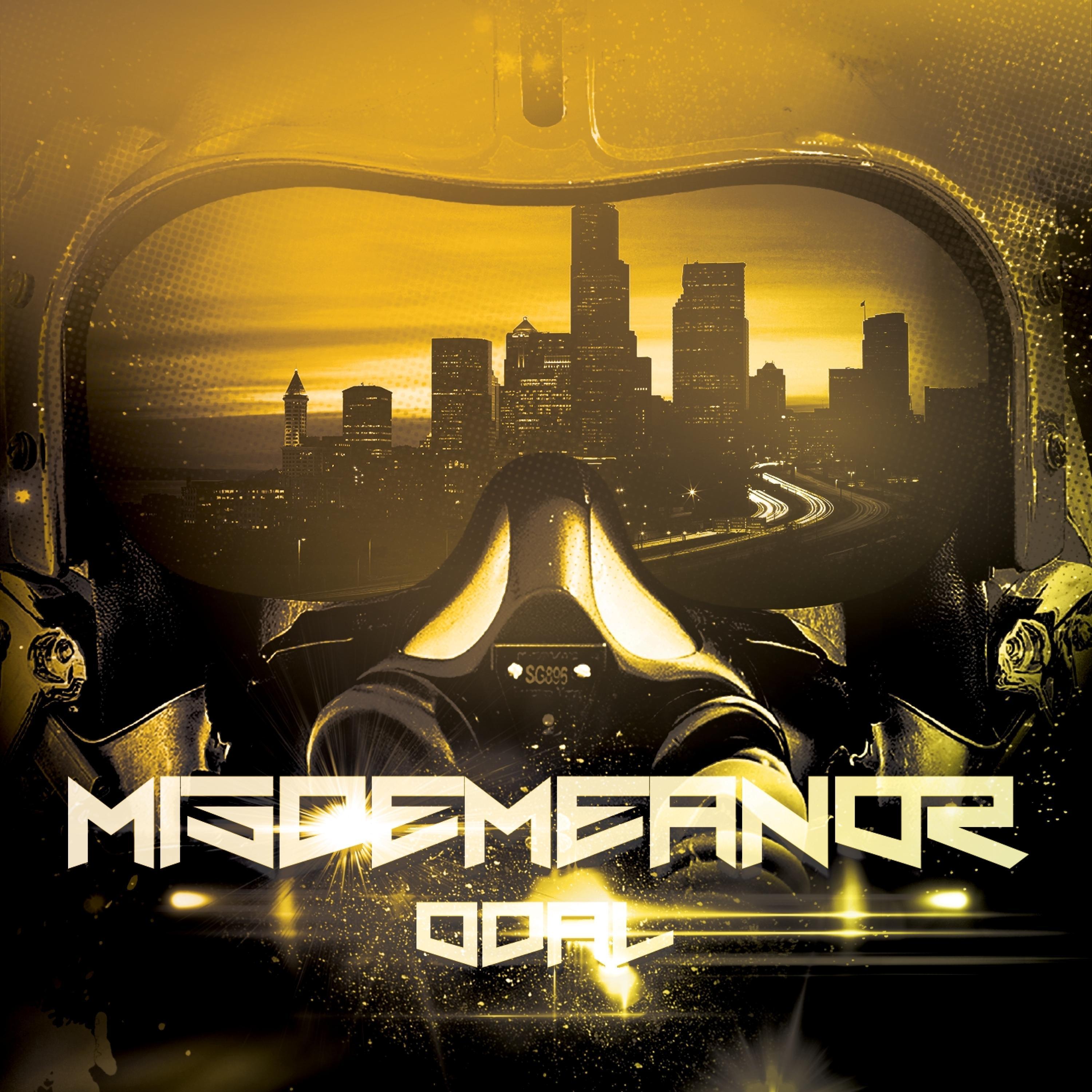 Misdemeanor
