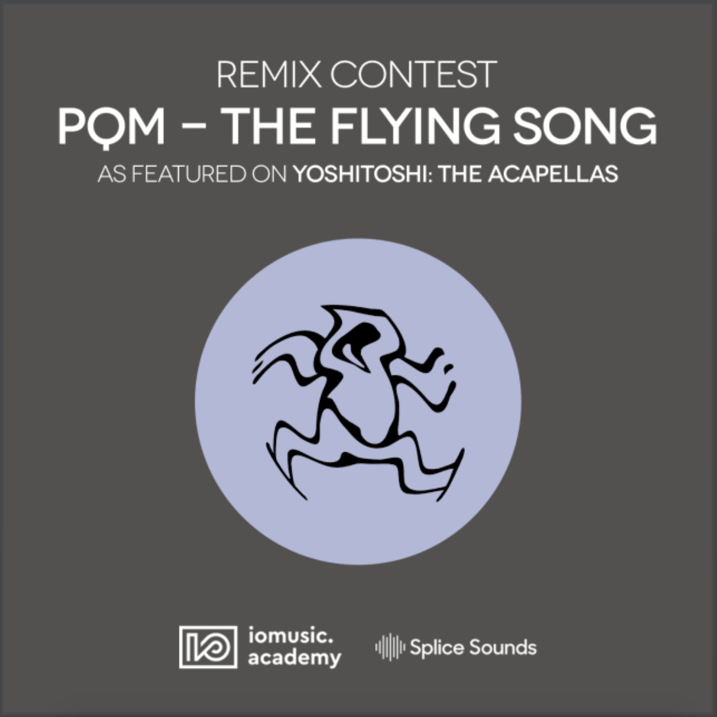 The Flying Song(Remix)专辑