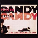 Psycho Candy专辑