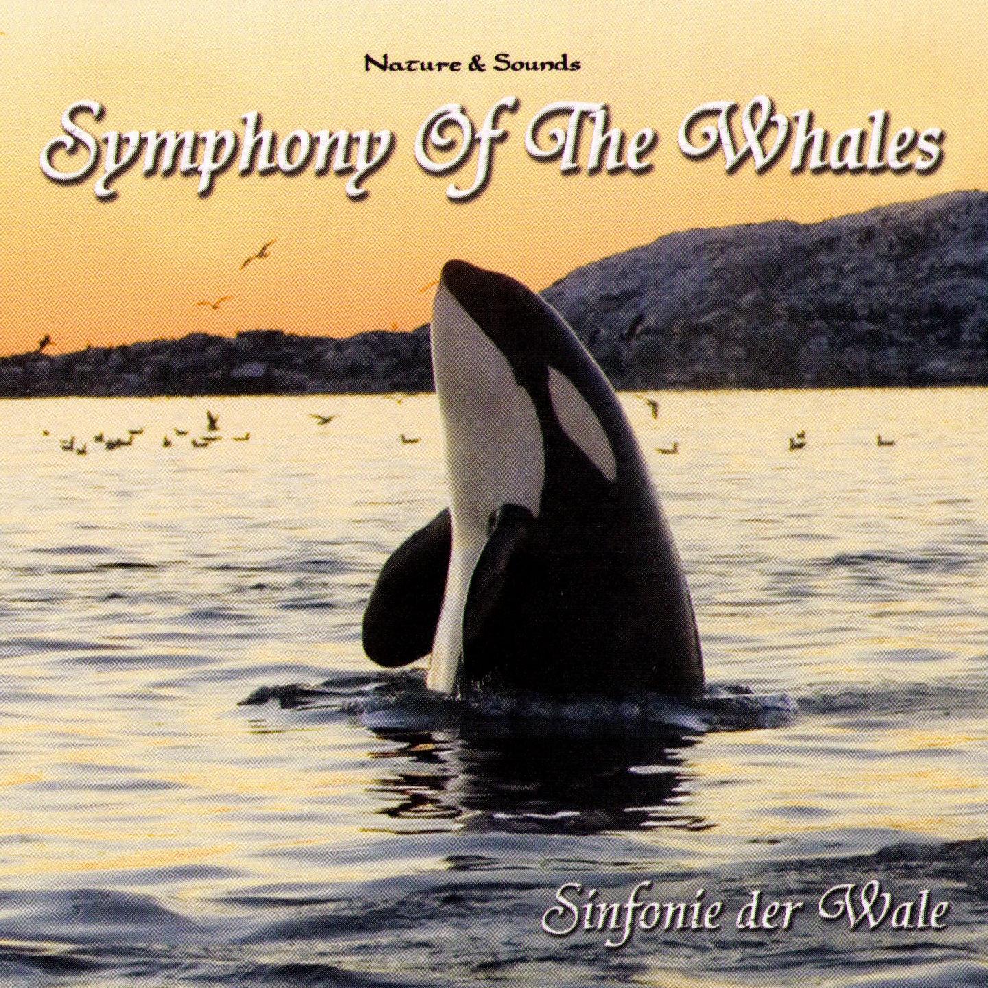 Symphony Of The Whales (Sinfonie Der Wale)