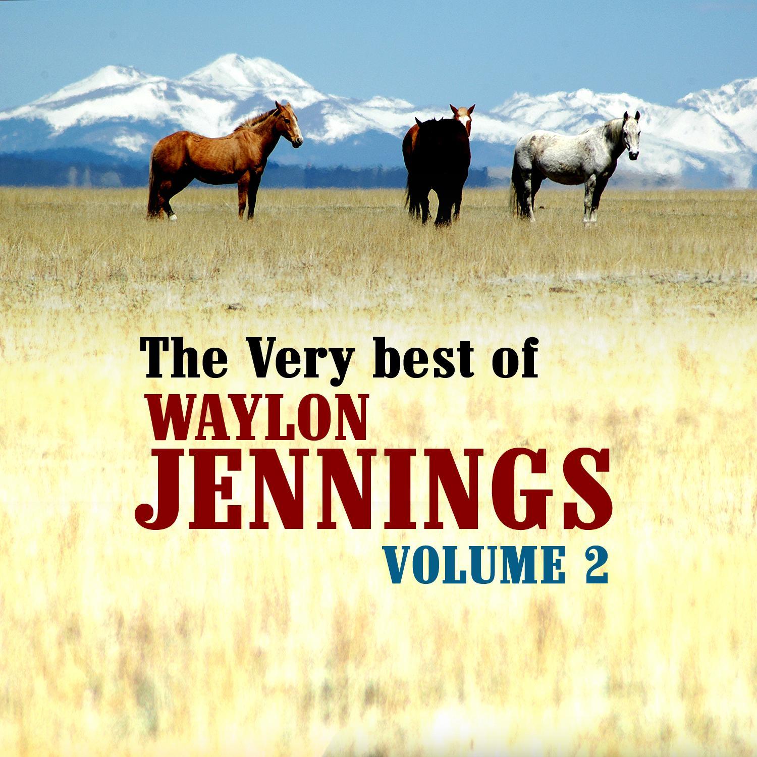 The Very Best Of Waylon Jennings Volume 2