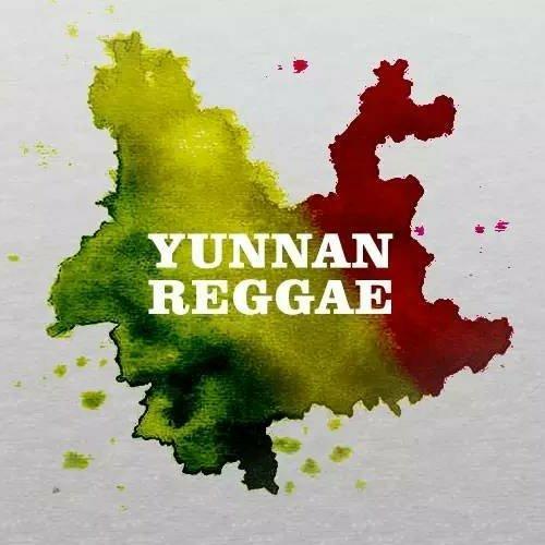 云南reggae~