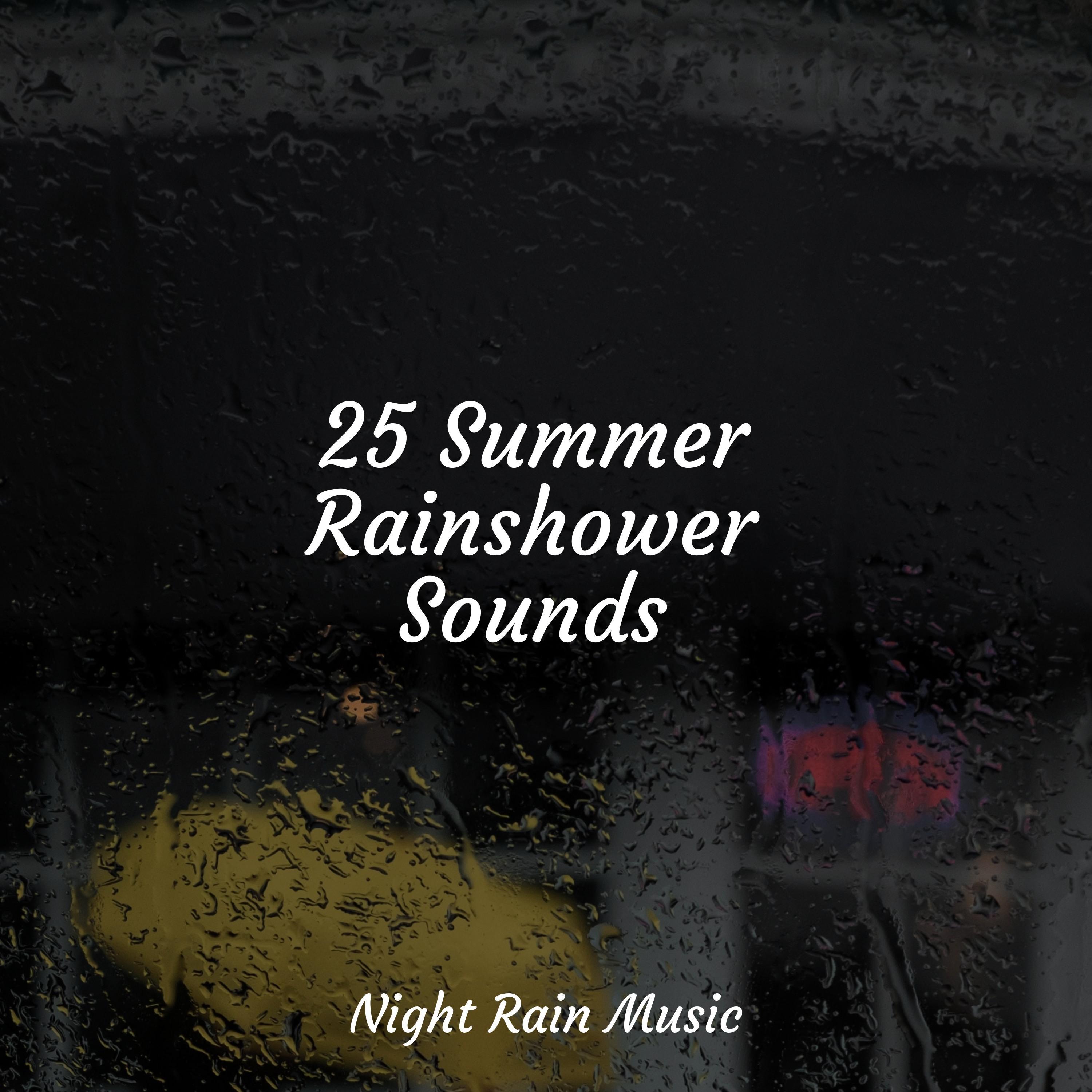 Relaxing Birdsong Ambience