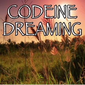 Codeine Dreaming - Kodak Black feat. Lil Wayne (karaoke) 带和声伴奏 （降8半音）