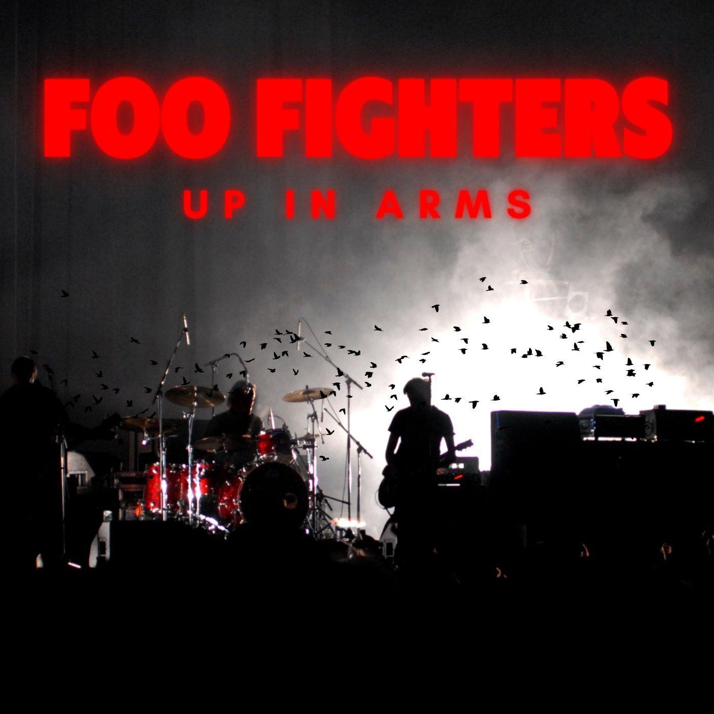 Foo Fighters - Hey, Johnny Park! (Live)