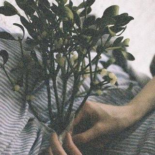一秒爱上的古风歌曲