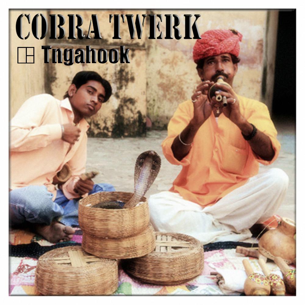 Cobra Twerk专辑