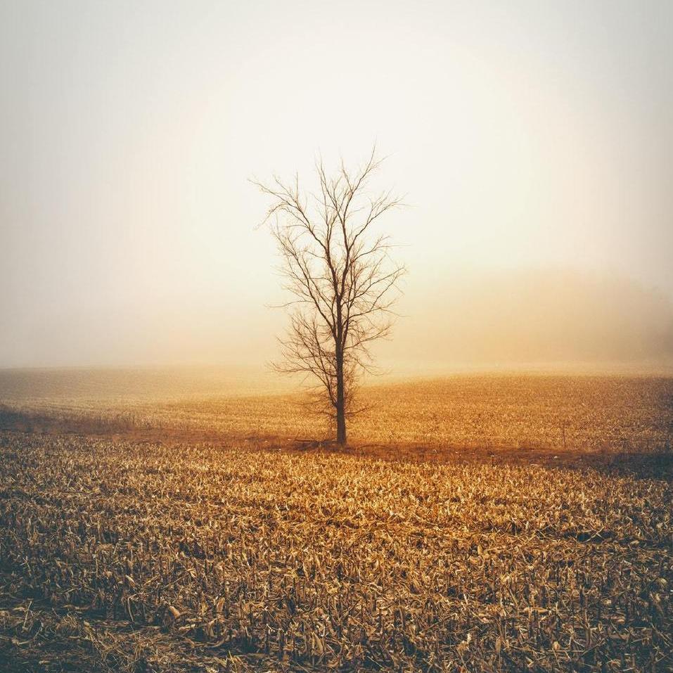 你的酒馆对我打了烊我曾多想再贫庸的生活拥抱你（串烧live）（翻自 隔壁老樊）