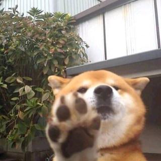 治愈感动日语歌单°日语