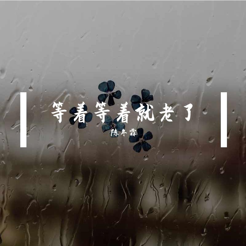 等着等着就老了