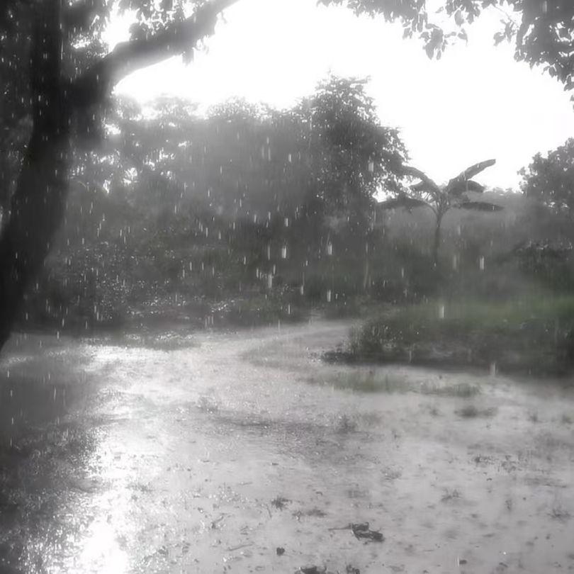 雨零碎...