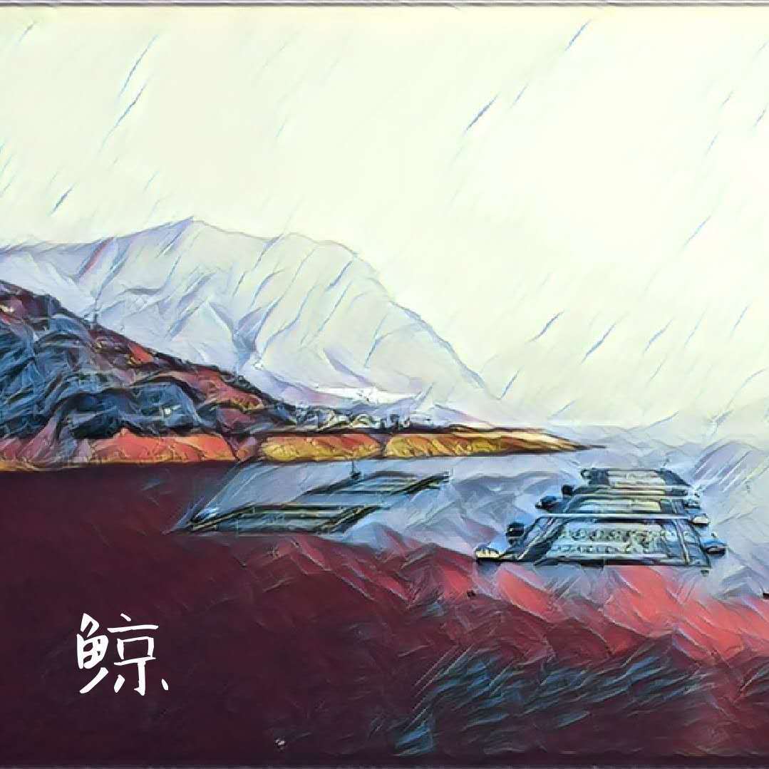 鲸专辑