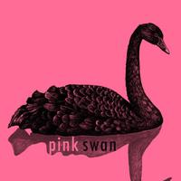 Pink Swan