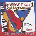 Essential Collection 1 - 17 Top Hits Chilled & Stirred专辑