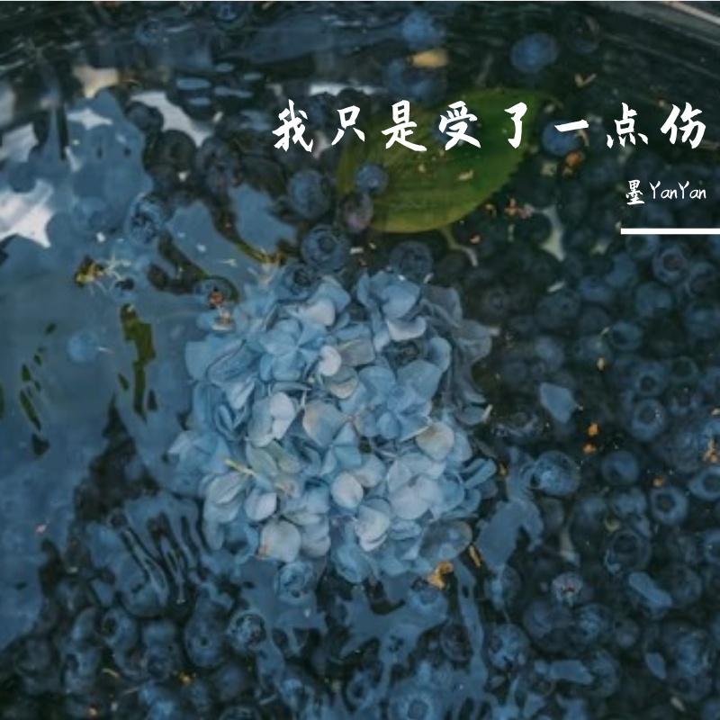 我只是受了一点伤