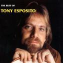 The Best of Tony Esposito专辑
