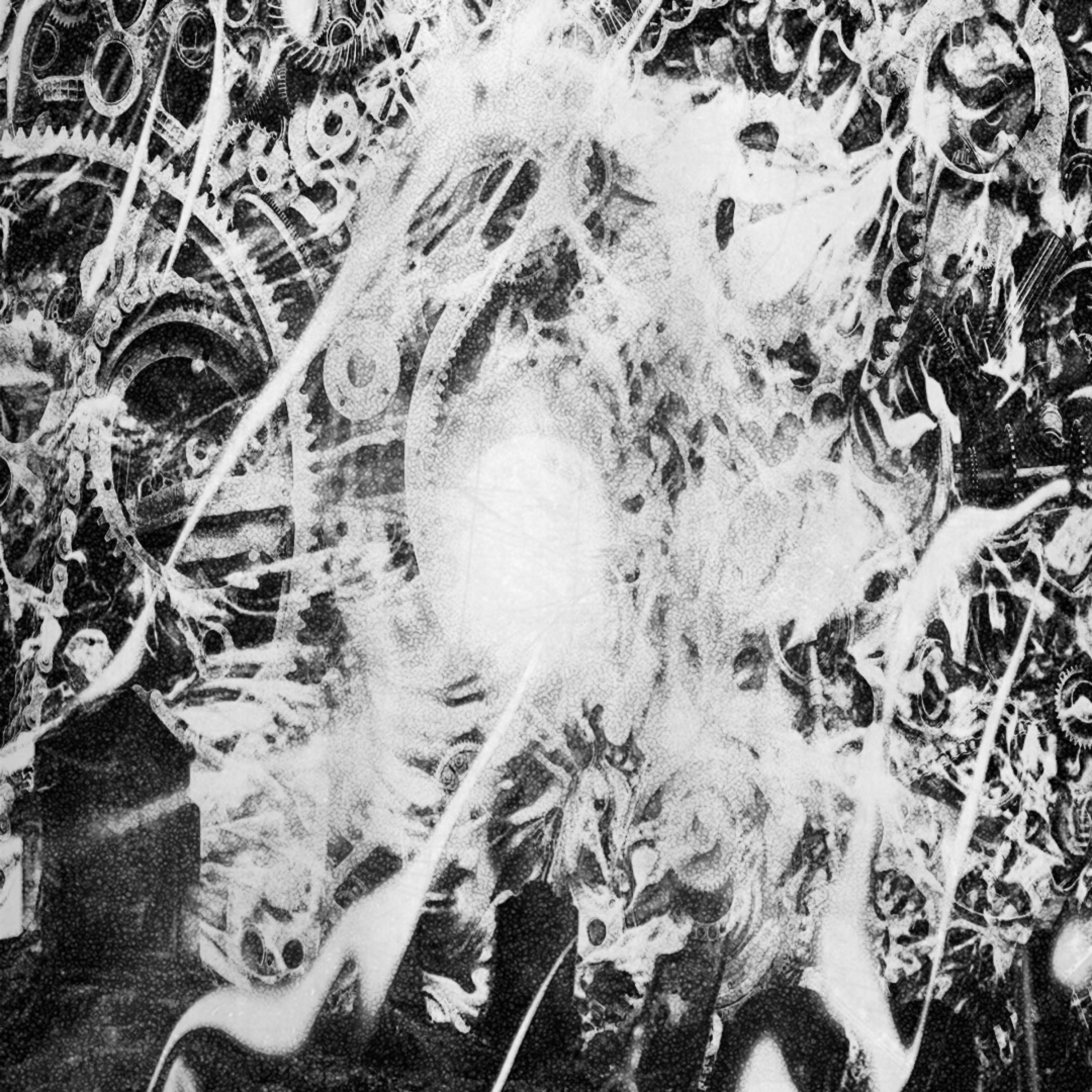 The Sun Sets and the Night Draws Near