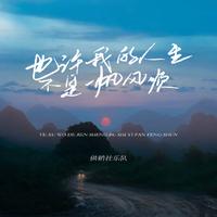 供销社乐队 - 也许我的人生不是一帆风顺 (伴奏)