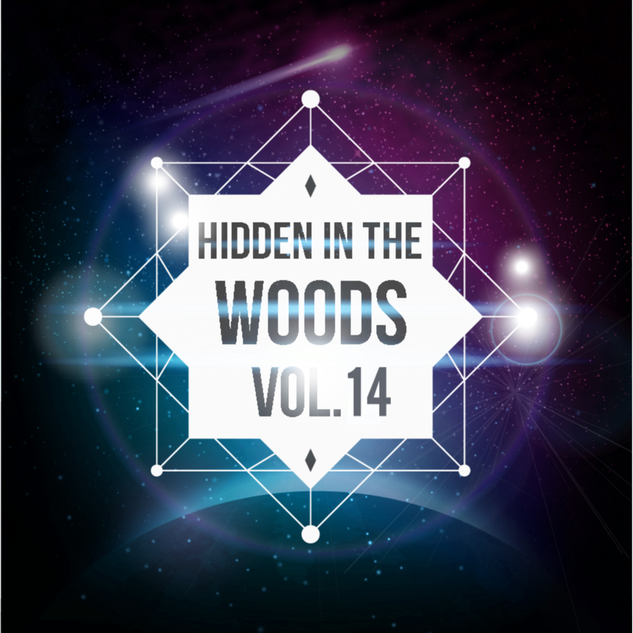 Hidden In The Woods Vol.14专辑