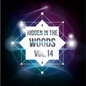 Hidden In The Woods Vol.14专辑