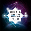 Hidden In The Woods Vol.14
