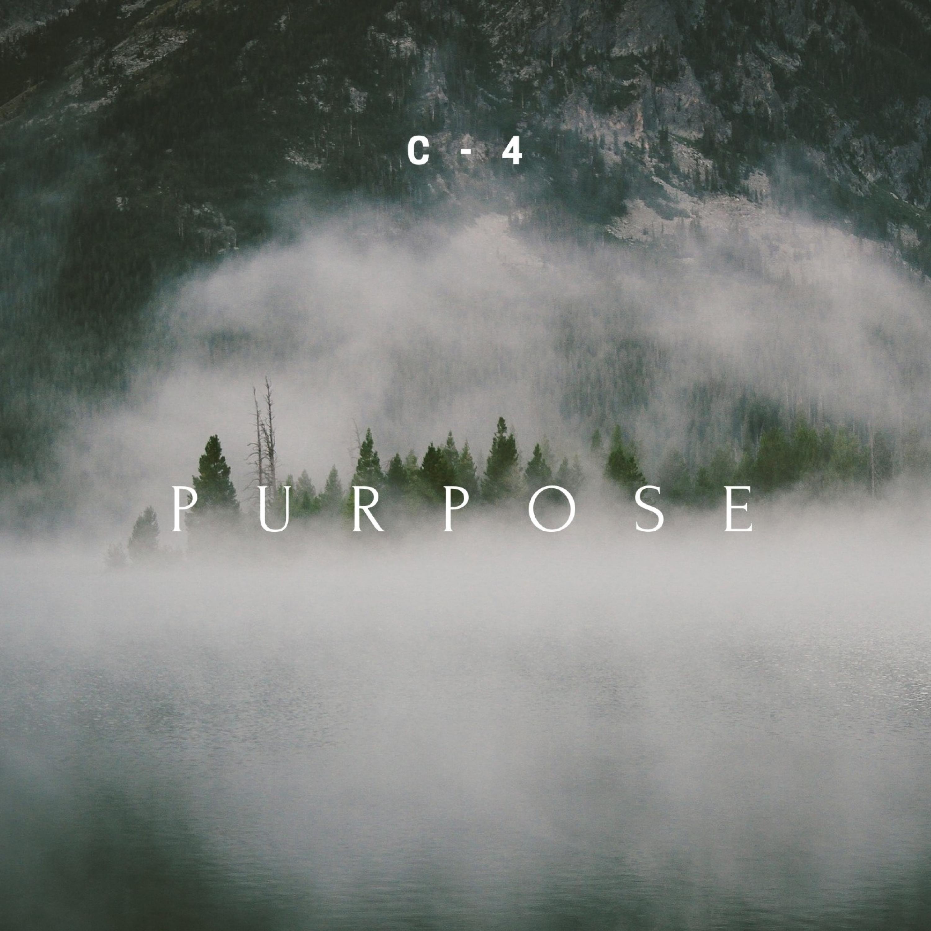 Purpose