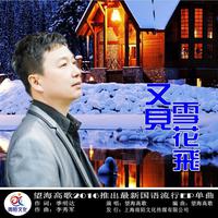 又见雪花飞  DJ降B伴奏