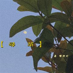 寻茶（停停走 停停走 茶香悠悠）