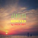 Jamaica Remixed (Re-Mix)专辑