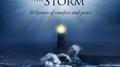 Shelter In The Storm专辑
