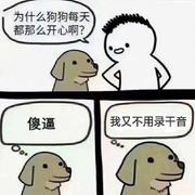 若人间是你赠我