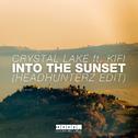 Into The Sunset (Headhunterz Edit)专辑