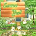 Summer Yard