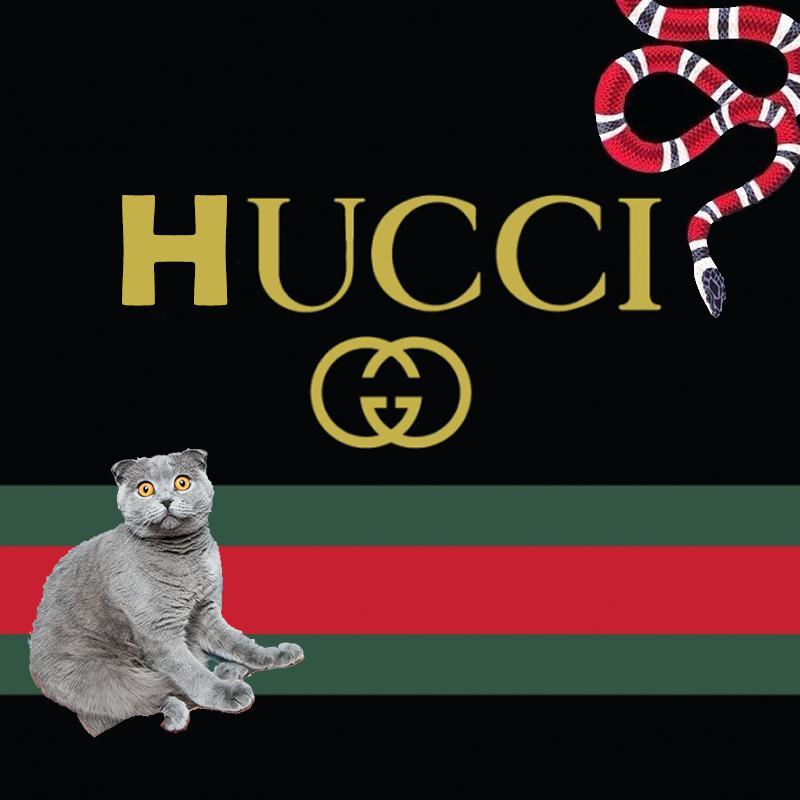 Gucci的时候眼泪总是Prada Prada的Dior在我的锁骨上