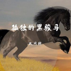 李春华 - 孤独的黑骏马 （升2半音）