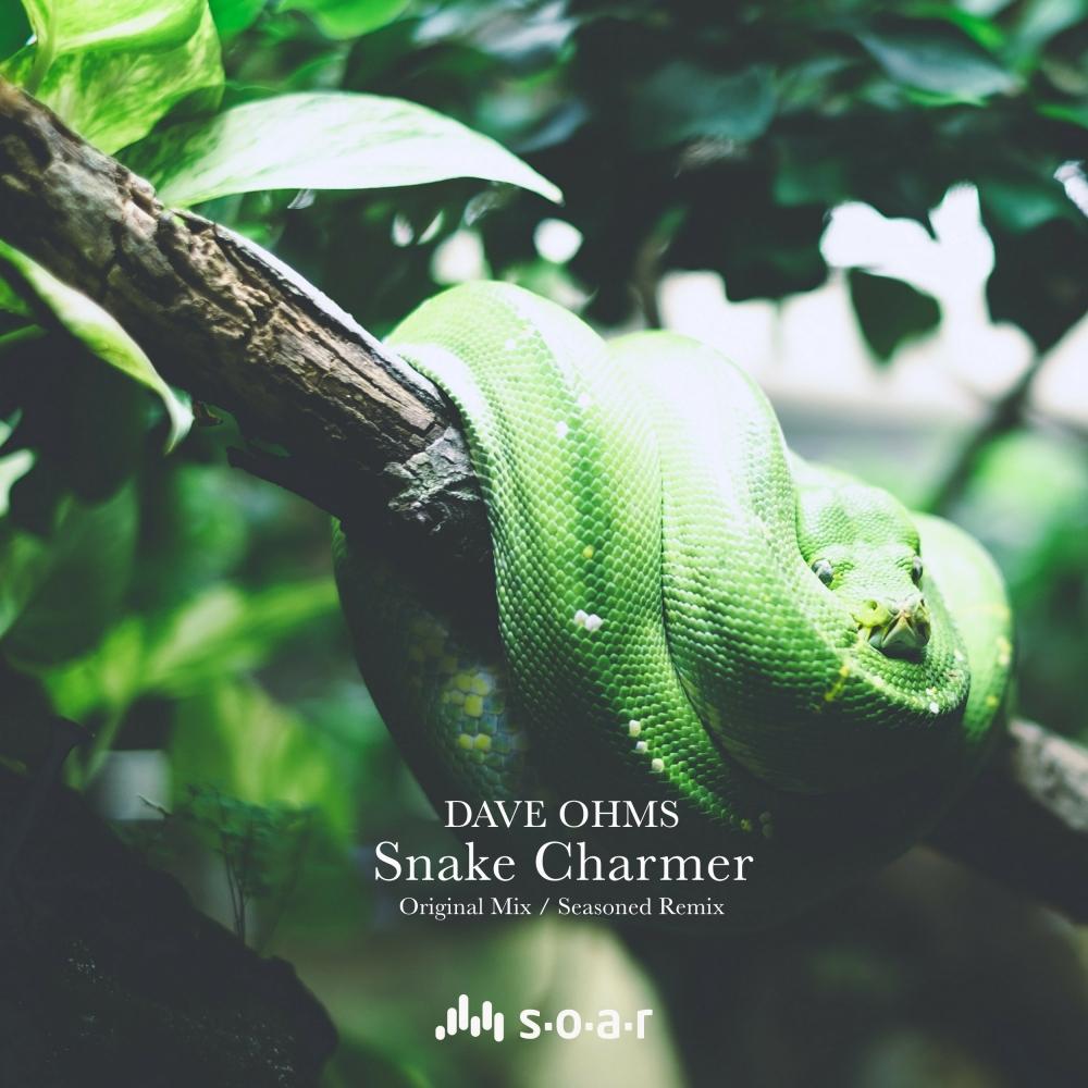 snake charmer (original mix)