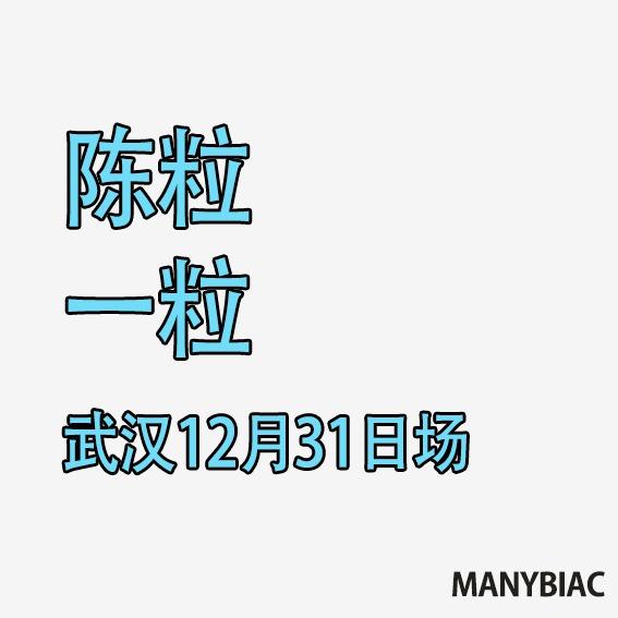 2025✨陈粒·十周年✨武汉跨年演唱会 | 在线播放 | 网易云音乐