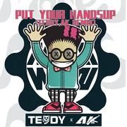 Put your hands up(TEDDY,AK Remix)