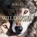 Wild Wolf - Mysterious Beauty专辑