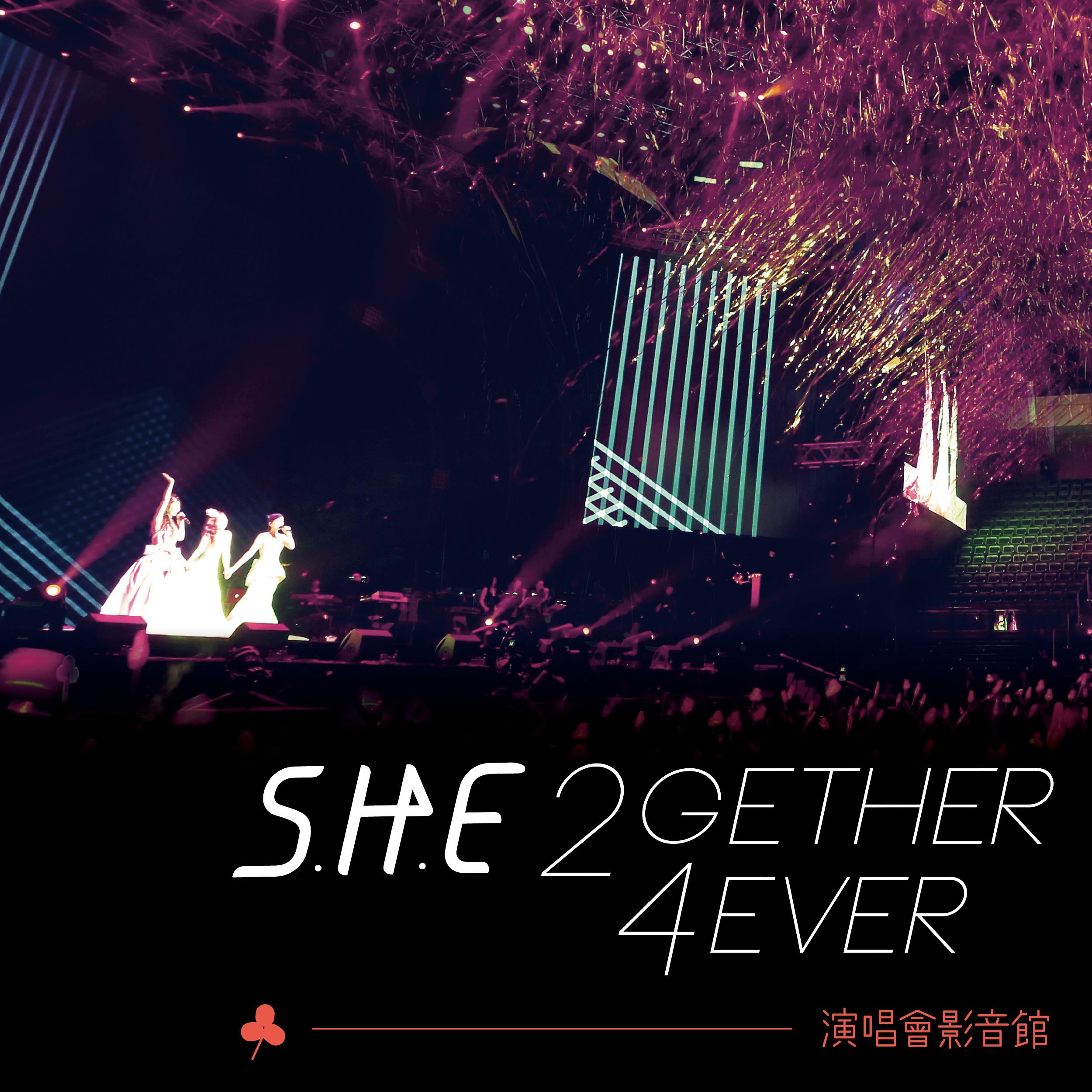 2GETHER 4EVER 演唱会影音馆专辑