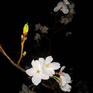 丢掉那少年