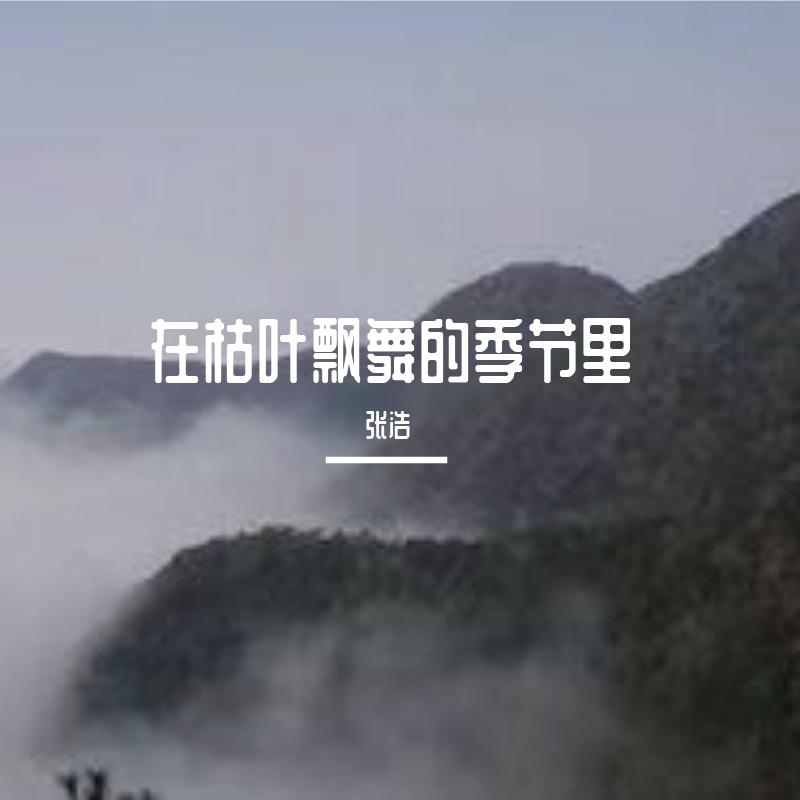 在枯叶飘舞的季节里