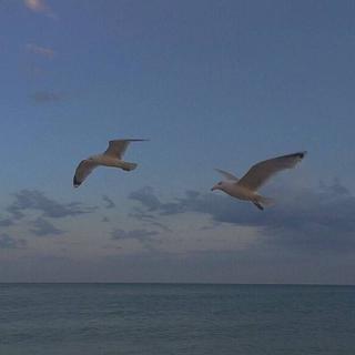 超燃且虐心的古风剧情歌曲（超好听）