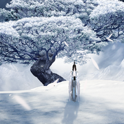沧海映雪歌