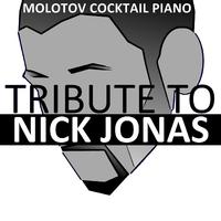 Nick Jonas - Warning (piano Instrumental)