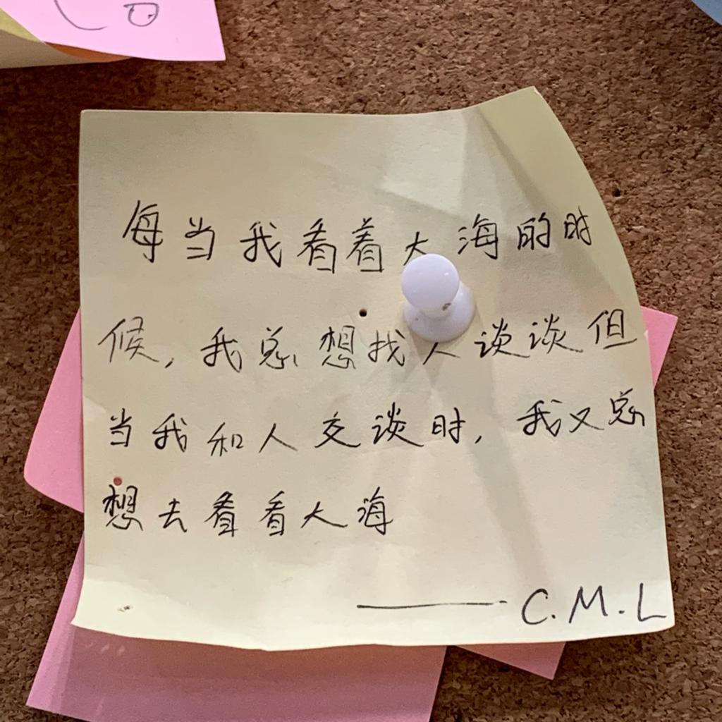 为一张脸去养一身伤