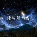 梵高.星月夜